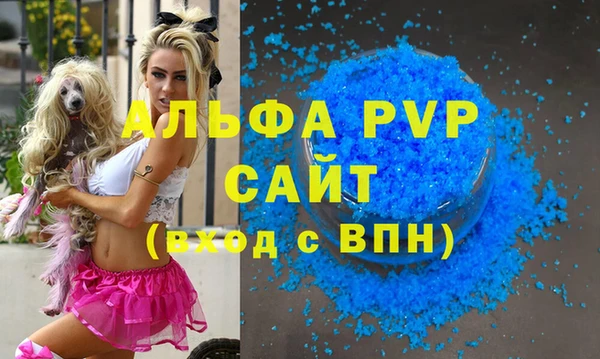 индика Лабытнанги