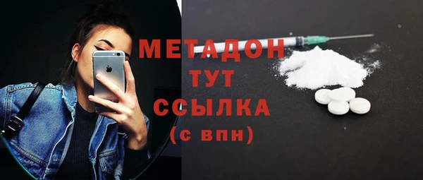 индика Ладушкин