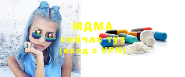 индика Лабытнанги