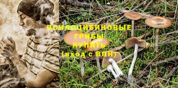 соль ск Лиски