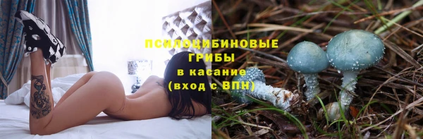 индика Ладушкин