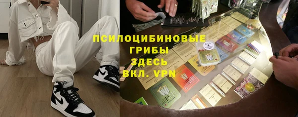 индика Лабытнанги