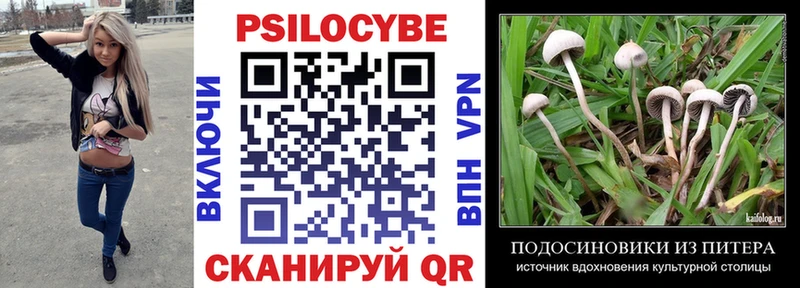 купить закладку  Мураши  Галлюциногенные грибы мухоморы 
